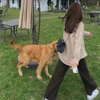锦鲤是个技术活