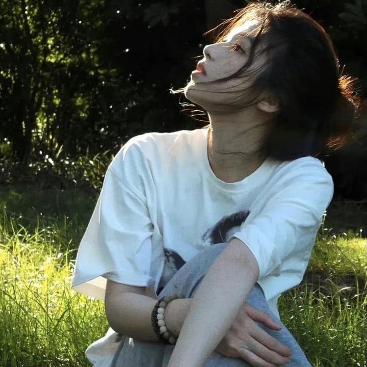天机十二宫第一季