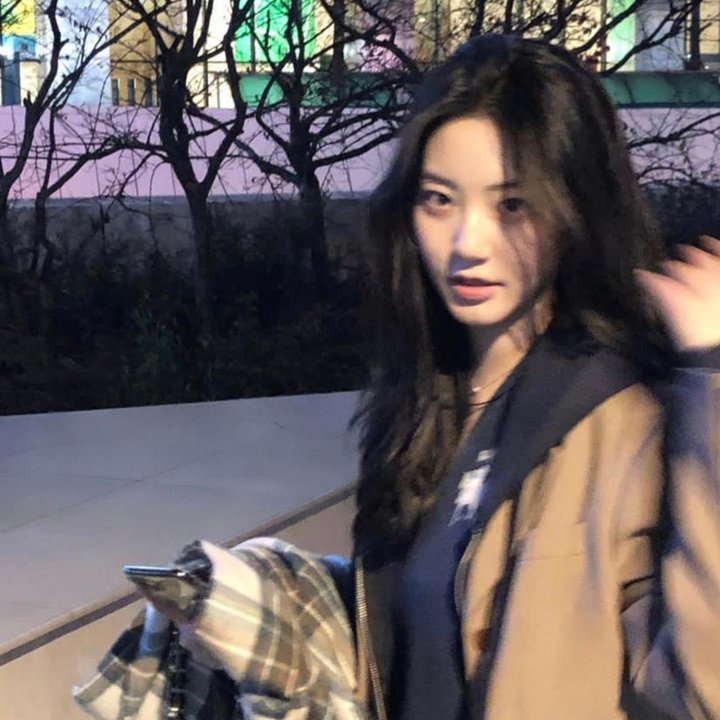 状元巧破蜜蜂计粤语